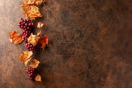Photo for Vine with dried leaves and ripe grapes. Old rustic brown background with copy space. - Royalty Free Image