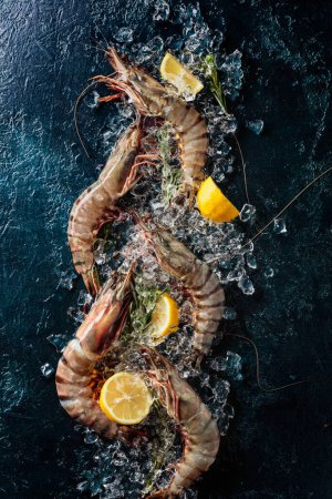 Photo for Prawns with lemon, rosemary and crushed ice on a dark blue background, top view with copy space. - Royalty Free Image