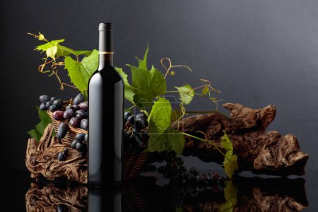 Téléchargez les photos : Bouteille de vin rouge avec raisins bleus et branches de vigne. Espace de copie. - en image libre de droit