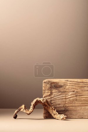 Photo for Abstract composition of old wooden plank and snag. Neutral beige background for cosmetic or beauty products. Place your product on a wooden podium. Copy space, front view. - Royalty Free Image