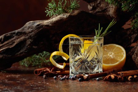 Téléchargez les photos : Cocktail gin-tonic au citron, cannelle, anis et baies de genièvre. En arrière-plan vieux chicots et branches de genévrier. - en image libre de droit