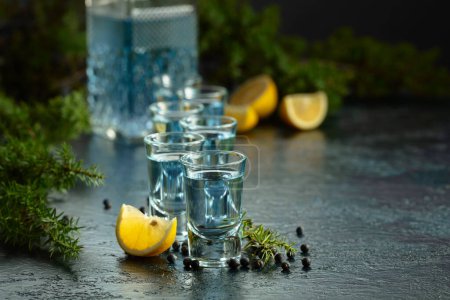 Photo for Blue gin and juniper branches on an old dark blue table. Gin with juniper berries and lemon slices. - Royalty Free Image
