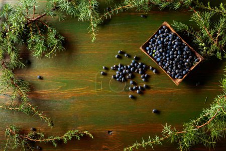 Photo for Juniper branches and seeds on a old wooden background. Top view with copy space. - Royalty Free Image