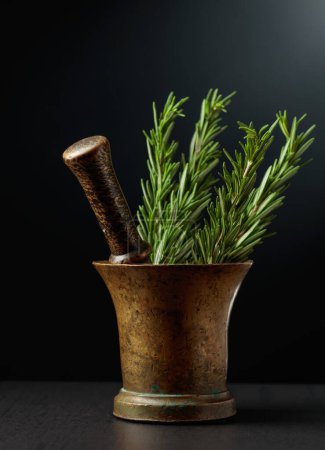 Photo for Old brass mortar with fresh rosemary branches on a black background. - Royalty Free Image
