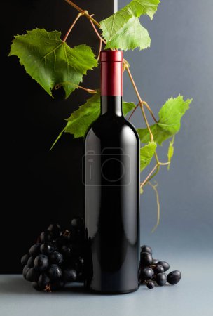Photo for Bottle of red wine with blue grapes and vine branches. Copy space. - Royalty Free Image