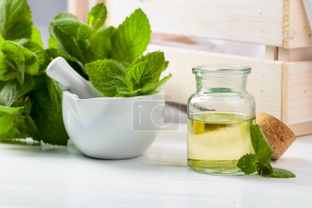 Photo for Fresh spearmint leaves and a small bottle with essential mint oil. Aromatherapy, spa, and herbal medicine ingredients. - Royalty Free Image