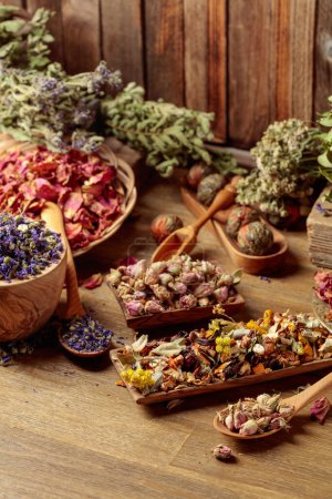 Photo for Various dried medicinal plants, herbs, and flowers on an old wooden background. Concept of herbal medicine or aromatherapy. - Royalty Free Image