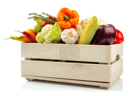 Téléchargez les photos : Divers légumes frais dans une boîte en bois isolée sur un fond blanc. Tomates, paprika, chou-fleur, piment, ail, aubergine, concombres, maïs et romarin sont présentés.. - en image libre de droit