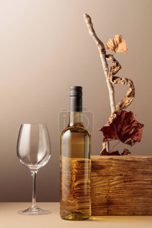 Photo for Bottle of white wine with a composition of old plank, dry snags, and dried vine leaves. Neutral beige background for product branding, identity, and packaging. Copy space, front view. - Royalty Free Image