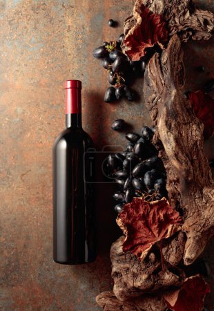 Photo for Bottle of red wine with blue grapes on a rusty background with an old snag and dried-up vine leaves. Concept of vinery. Top view. Copy space. - Royalty Free Image
