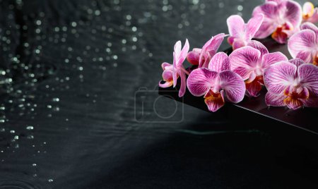 Téléchargez les photos : Belles fleurs d'orchidée pourpre sur un tableau noir. Ondulations d'eau en arrière-plan. Bannière concept pour produits de soin du corps spa et cosmétiques. - en image libre de droit