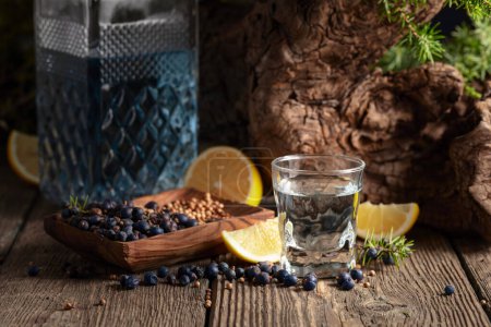 Téléchargez les photos : Gin bleu et branches de genièvre sur une vieille table en bois. Gin aux ingrédients - baies de genièvre, graines de coriandre et tranches de citron. - en image libre de droit
