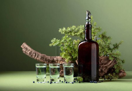 Photo for Gin in vintage bottle on a background of old snags and juniper branches with berries. Green background with copy space. - Royalty Free Image