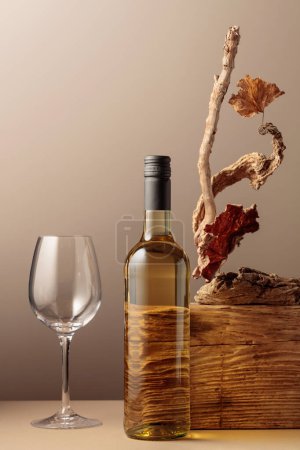 Photo for Bottle and glass of white wine with a composition of old plank, dry snags, and dried vine leaves. Neutral beige background for product branding, identity, and packaging. Copy space, front view. - Royalty Free Image