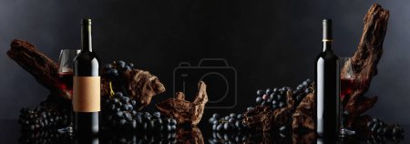 Foto de Botellas de vino tinto con enganche envejecido y uvas azules. Copiar espacio. - Imagen libre de derechos