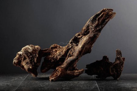 Foto de Viejo enganche de madera seca en una mesa de piedra negra. Fondo negro con espacio de copia. - Imagen libre de derechos