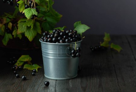 Téléchargez les photos : Black currant in a small bucket on a black wooden table. Copy space. - en image libre de droit