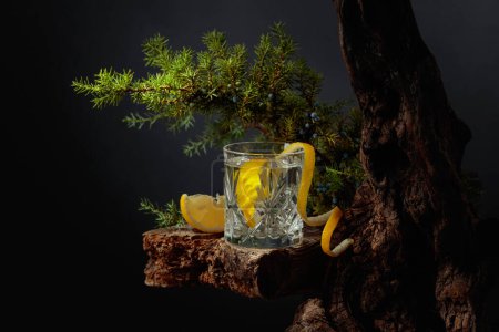Téléchargez les photos : Cocktail gin-tonic au citron dans un verre de cristal sur une vieille planche. En arrière-plan vieux chicots et branches de genièvre avec des baies. - en image libre de droit