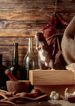 Rat on a table with old kitchen utensils in a wooden shed.