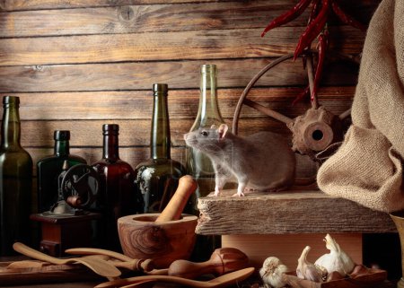 Photo for Rat on a table with old kitchen utensils in a wooden shed. - Royalty Free Image
