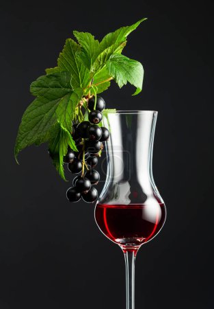 Photo for Glass of blackcurrant liqueur. Sweet drink and branch with leaves and ripe juicy berries on a dark background. - Royalty Free Image