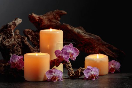 Téléchargez les photos : Fleurs d'orchidée, bougies allumées, et vieux chicots en bois sur un fond noir. Concept de spa avec espace de copie. - en image libre de droit