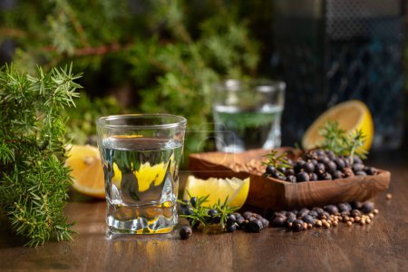 Photo for Blue gin and juniper branches on an old wooden table. Gin with ingredients - juniper berries, coriander seeds, and lemon slices. - Royalty Free Image