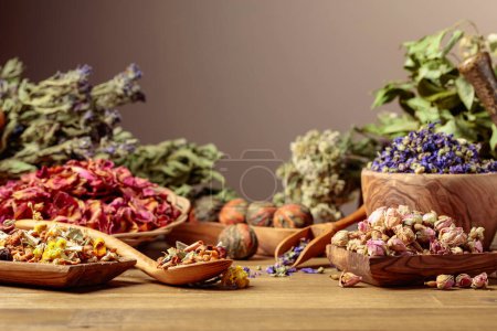 Photo for Dry herbal tea mix and various dried medicinal plants, herbs, and flowers. Concept of herbal medicine or aromatherapy with copy space. - Royalty Free Image