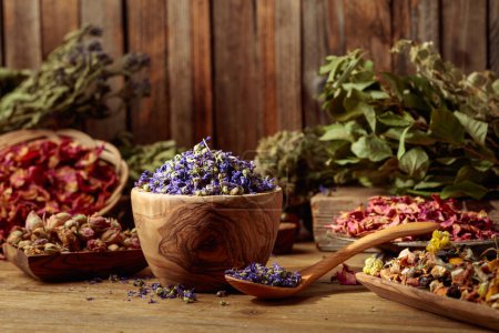 Photo for Various dried medicinal plants, herbs, and flowers on an old wooden background. Concept of herbal medicine or aromatherapy. - Royalty Free Image