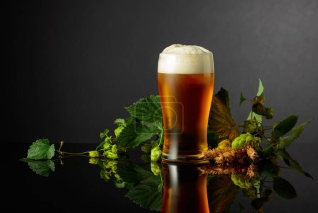 Photo for Beer with hops and barley on a black reflective background. - Royalty Free Image