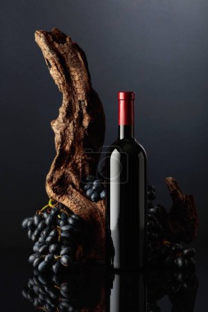 Photo for Bottle of red wine with an old snag and blue grapes. Copy space. - Royalty Free Image
