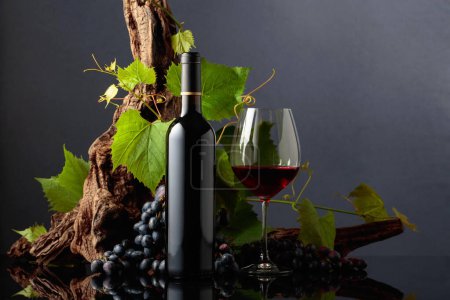 Téléchargez les photos : Verre et bouteille de vin rouge avec raisins bleus et branches de vigne. Espace de copie. - en image libre de droit