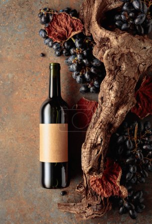Foto de Botella de vino tinto con uvas azules sobre un fondo oxidado con un viejo enganche y hojas de vid secas. Concepto de vinería. Vista superior. Copiar espacio. - Imagen libre de derechos