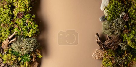Photo for Abstract north nature scene with a composition of lichen, moss, and old snags on a beige background. Top view. Copy space. - Royalty Free Image