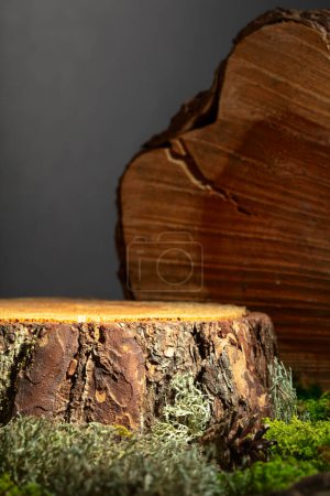 Foto de Composición con madera natural, musgo y liquen para la publicidad de productos ecológicos. Coloca tu producto en un tocón de pino. Copiar espacio. - Imagen libre de derechos