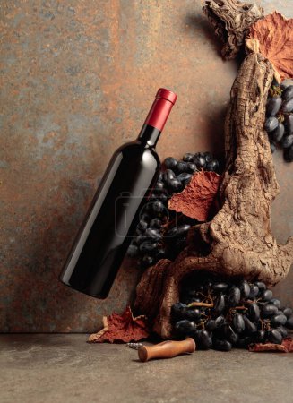 Foto de Botella de vino tinto en movimiento sobre un fondo oxidado con un viejo enganche, uvas azules y hojas de vid secas. - Imagen libre de derechos