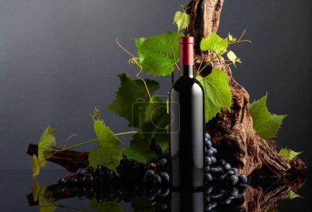 Téléchargez les photos : Bouteille de vin rouge avec raisins bleus et branches de vigne. Espace de copie. - en image libre de droit