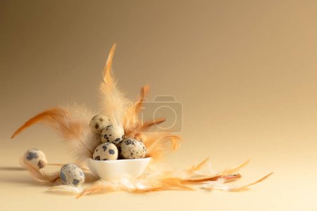 Foto de Huevos de codorniz y plumas sobre un fondo beige. Copiar espacio. - Imagen libre de derechos