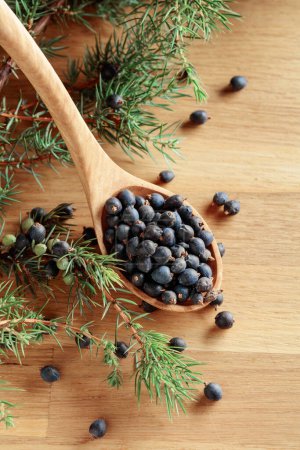Photo for Wooden spoon with seeds of juniper on an old wooden table. - Royalty Free Image