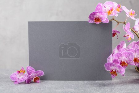 Téléchargez les photos : Belle floraison fleurs d'orchidée avec une carte grise pour votre texte. - en image libre de droit