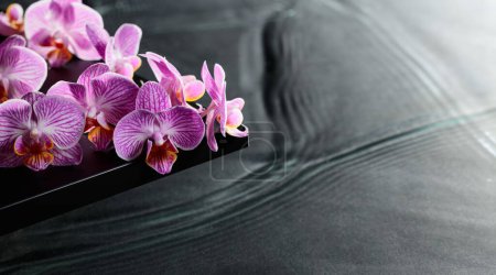 Téléchargez les photos : Belles fleurs d'orchidée pourpre sur un tableau noir. Ondulations d'eau en arrière-plan. Bannière concept pour produits de soin du corps spa et cosmétiques. - en image libre de droit