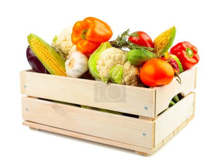 Téléchargez les photos : Divers légumes frais dans une boîte en bois isolée sur un fond blanc. Tomates, paprika, chou-fleur, piment, ail, aubergine, concombres, maïs et romarin sont présentés.. - en image libre de droit