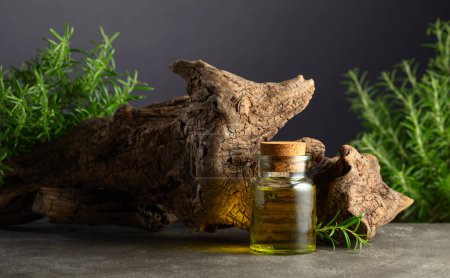 Photo for Rosemary essential oil and fresh rosemary with old snag on a stone background. Copy space. - Royalty Free Image