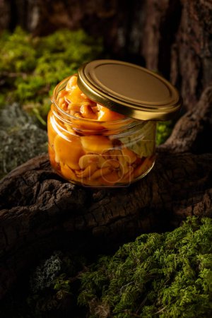 Photo for Homemade pickled honey mushrooms in a glass jar. Small jar of marinated mushrooms on a snag in forest. - Royalty Free Image