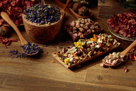 Foto de Varias plantas medicinales secas, hierbas y flores sobre un fondo de madera viejo. Concepto de medicina herbal o aromaterapia. - Imagen libre de derechos