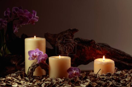Téléchargez les photos : Fleurs d'orchidée et bougies brûlantes sur un fond de vieux chicots en bois. Concept de spa avec espace de copie. - en image libre de droit