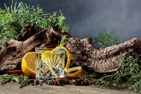 Foto de Cóctel gin-tonic con limón, canela, anís y bayas de enebro. En el fondo viejos lazos, ramas de enebro, y un cielo nublado. - Imagen libre de derechos