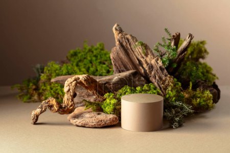 Photo for Abstract north nature scene with a composition of lichen, moss, and old snags on a beige background. Place your product on a podium. Copy space. - Royalty Free Image