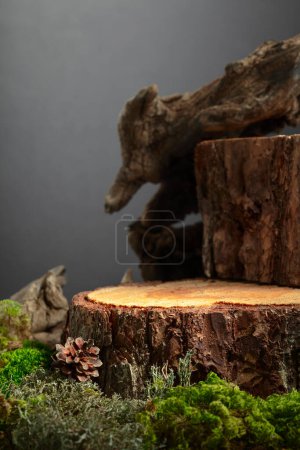 Photo for Composition with natural wood, moss and lichen for advertising eco products. Place your product on a pine stump. Copy space. - Royalty Free Image