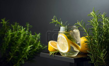 Téléchargez les photos : Cocktail gin tonique avec glace, tranches de citron et romarin. Boisson rafraîchissante sur un fond sombre. Espace de copie. - en image libre de droit
